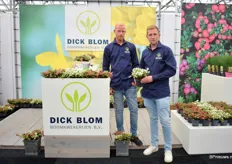 Brothers Thijs and Ruud Blom of Dick Blom with the Pernettya, a product they have in different sizes (10.5, 12 and 14cm) and deliver from weeks 33-44.